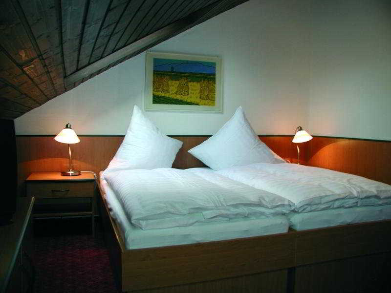 Hotel Traube Offenburg Ngoại thất bức ảnh